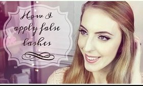 How I Apply False Lashes | Ashley Engles