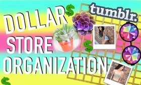 DOLLAR STORE ORGANIZATION & DIY DECOR | Paris & Roxy