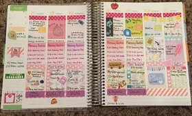 Weekly Overview | Aug 17-23 | Erin Condren Life Planner