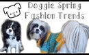 Doggie Spring Fashion Trends