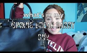 What's in my Spring Break Carry On?? | JennaNicole22xo