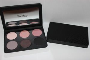 Find this eyeshadow & blusher palette for just $45 on the CuteNClassy website! 