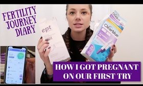 HOW I TRACKED MY FERTILITY AND GOT PREGNANT ON THE FIRST TRY  FULL VIDEO DIARY