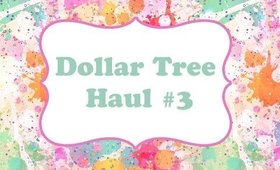 Dollar Tree Haul #3 ~ 2/28/2015