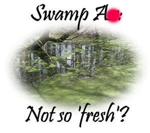 You're not alone.  http://thedragonsvanity.blogspot.com/2013/07/swamp-ass-not-so-fresh-youre-not-alone.html