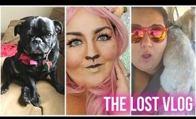 THE LOST VLOG | WOLLY, HALLOWEEN WEEK, & PUGS