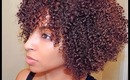 How To | Keeping Color Treated Natural Hair Moisturized and bouncy!