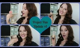 Project Pan Update #1 ☮