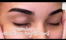 GROOMING & TINTING MY BROWS ll Bewareitscoco