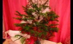CW4C Series: DIY Ornaments and decorating my mini tree!
