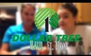 Dollar Tree Haul with Mom: Snacks, Pineapple Car Freshener, Bread Galore |  March 20, 2018