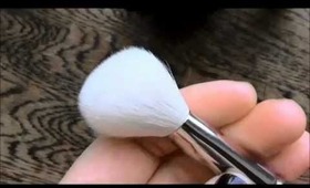 My brush Collection... Mainly MAC!