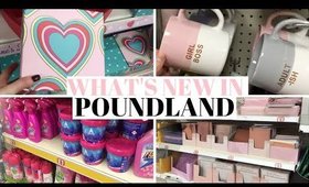 WHAT'S NEW IN POUNDLAND FEBRUARY 2020!
