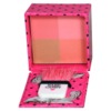 Hard Candy Fox in a Box - bronzing duos & blushing quads  Spicy & Sweet