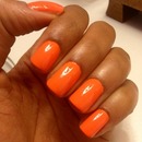 Pretty Orange 