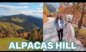 Walking Alpacas in Koroška! 🤣 | Slovenia Travel Vlog