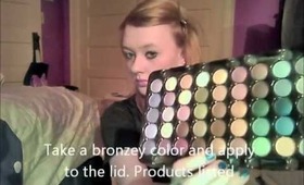 My Everyday Makeup