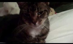 ❤Skippy❤