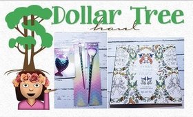 Dollar Tree Haul #36 | Flip Through Coloring Book & A Winner | PrettyThingsRock