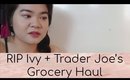 Year 22 Vlog #1: My Hamster Died + Trader Joe's Grocery Haul