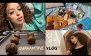 Quarantine Vlog: Rooftop Picnic, Content Creation & Running Errands! Alexis the G