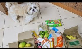 My Grocery Shopping _ Live Big Basket Haul Video! _ || Indian Family Vlogs