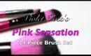 Brushes 101 with Pink Sensation Brushes