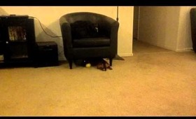 2012-12-18_18-58-14_58.mp4