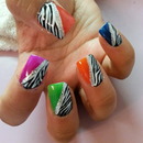 zebra nails 