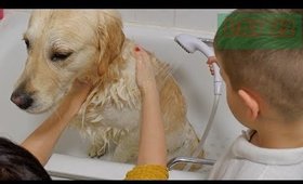 Bath Time For Marley - VLOGMAS Day 22 | Danielle Scott
