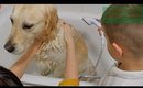 Bath Time For Marley - VLOGMAS Day 22 | Danielle Scott