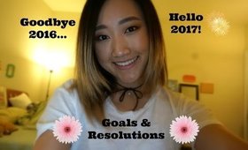 My Goals to Make 2017 a Success ⎮ Amy Cho