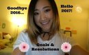 My Goals to Make 2017 a Success ⎮ Amy Cho