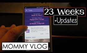 Mommy Vlog | Week 23 + Updates