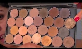 FAVE MAC NUDE EYESHADOWS