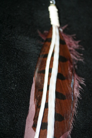 Feathers 006