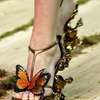 Fashion R.