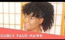 Curly Faux Hawk on Natural Hair