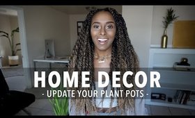 HOME DECOR:  Update your boring house plant pots