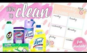 ♥ 7 WAYS TO MAKE CLEANING EASIER & FREE Printable:  BEST CLEANING TIPS  [Paris & Roxy]