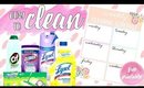 ♥ 7 WAYS TO MAKE CLEANING EASIER & FREE Printable:  BEST CLEANING TIPS  [Paris & Roxy]