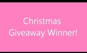 Christmas Too Faced Palette Giveaway Winner!!!