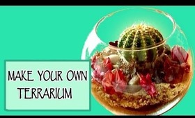 DIY room decor - Make your own terrarium!