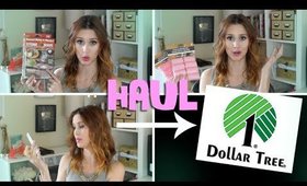 DOLLAR TREE HAUL! - Deals and Steals