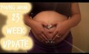 Week 23 Pregnancy Update | A Young Mom | fashona2
