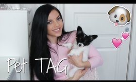 My pet TAG med Chloe