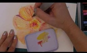 "practice Hibiscus" with Jane Davenport Aquapastels: Playing around with my new "toy"