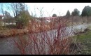Forest Vlog ♡♡♡