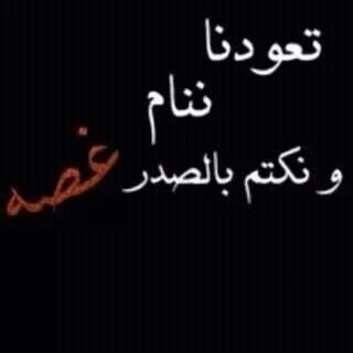 Alaa A.
