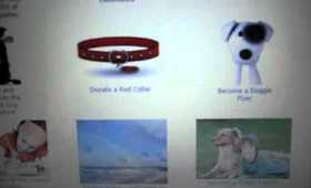 Project For Awesome 2011: Island Dog